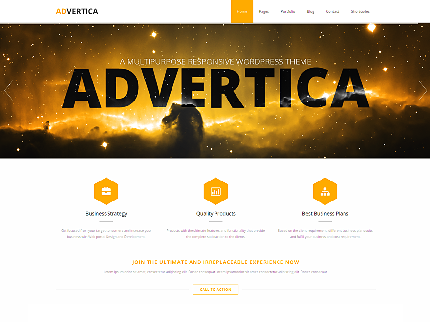 Advertica website example screenshot