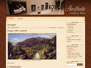 Aesthete website example screenshot