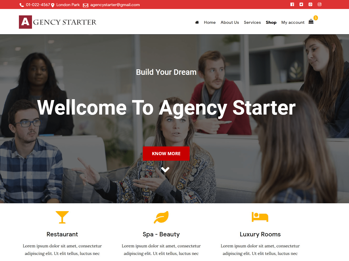 Agency Starter website example screenshot