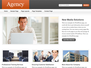 agency_cacsb theme websites examples