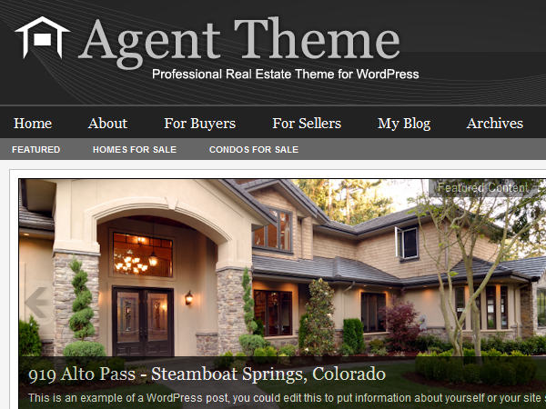 agent_20 theme websites examples
