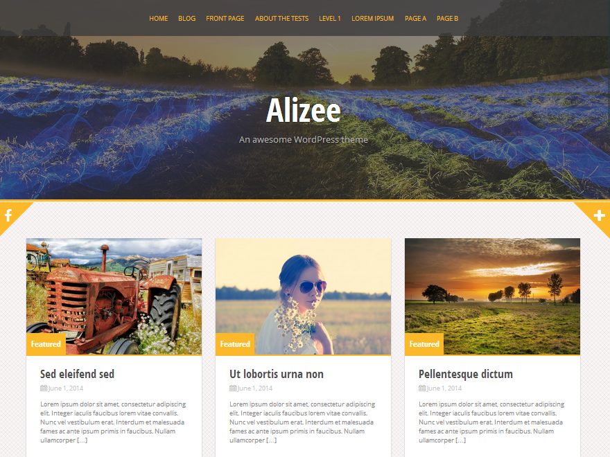 Alizee website example screenshot