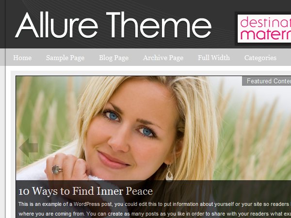 allure_dark_10 theme websites examples