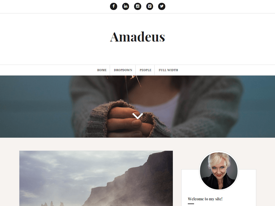 Amadeus website example screenshot