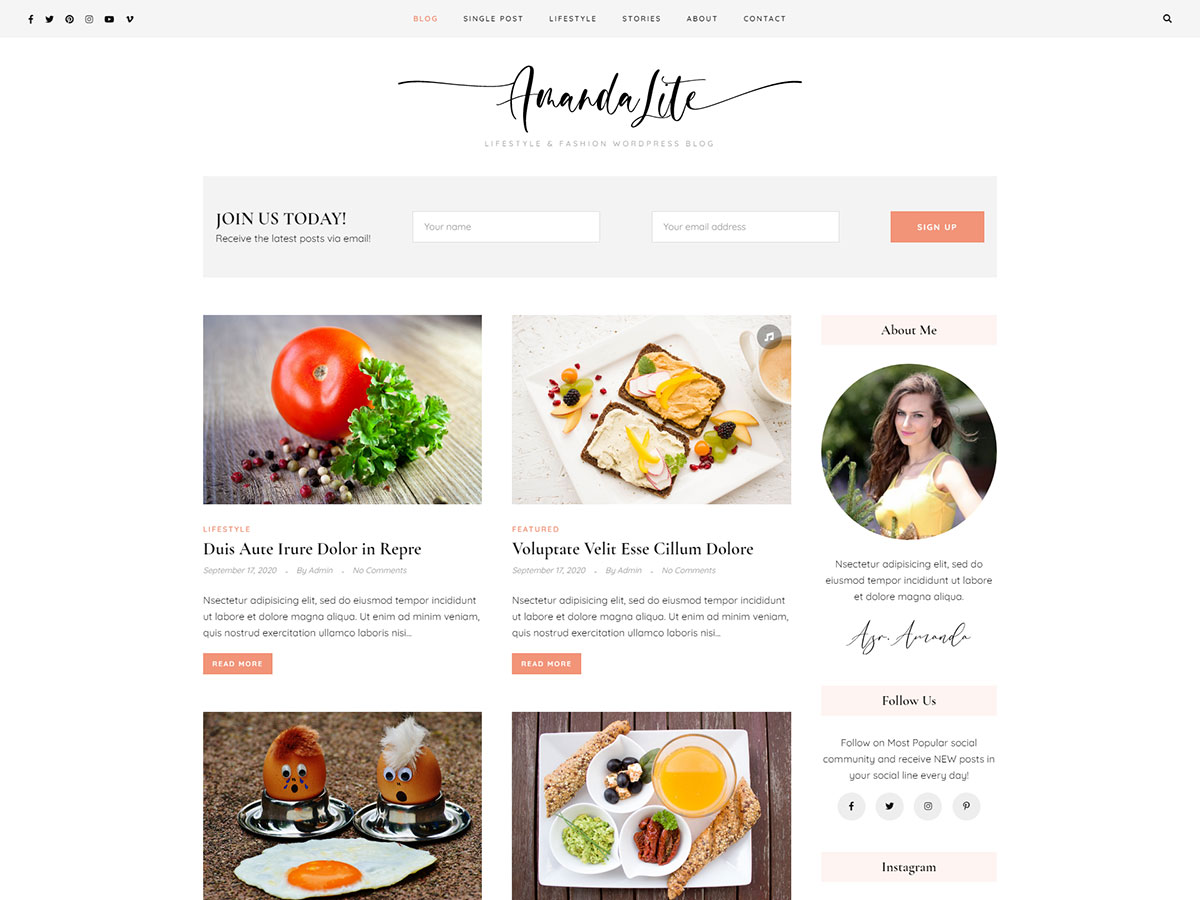amandalite WordPress theme, websites list used amandalite theme amandalite theme websites examples