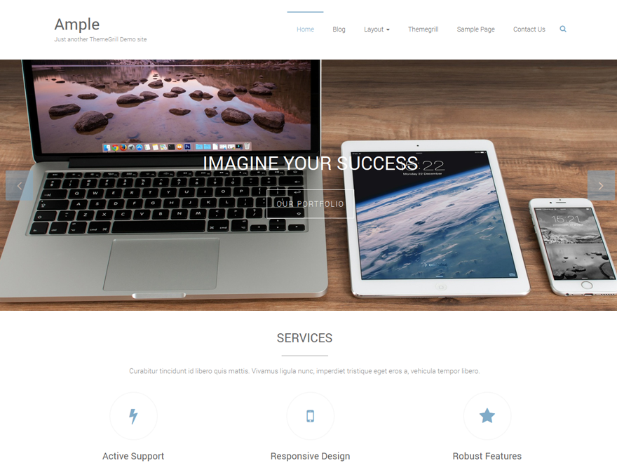 Ample theme websites examples