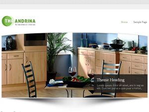Andrina Lite website example screenshot