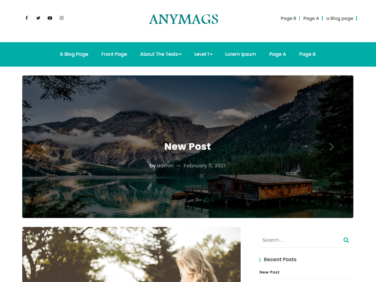 Anymags website example screenshot
