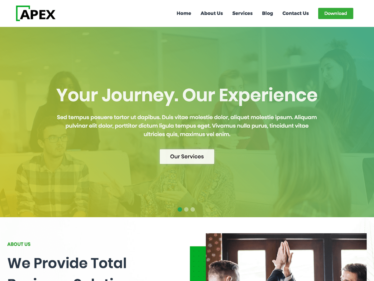 apex-business theme websites examples