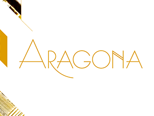 aragona theme websites examples