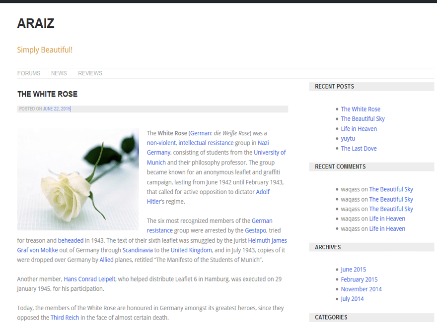 Araiz website example screenshot