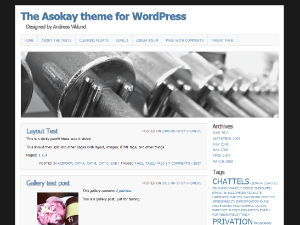 Asokay website example screenshot