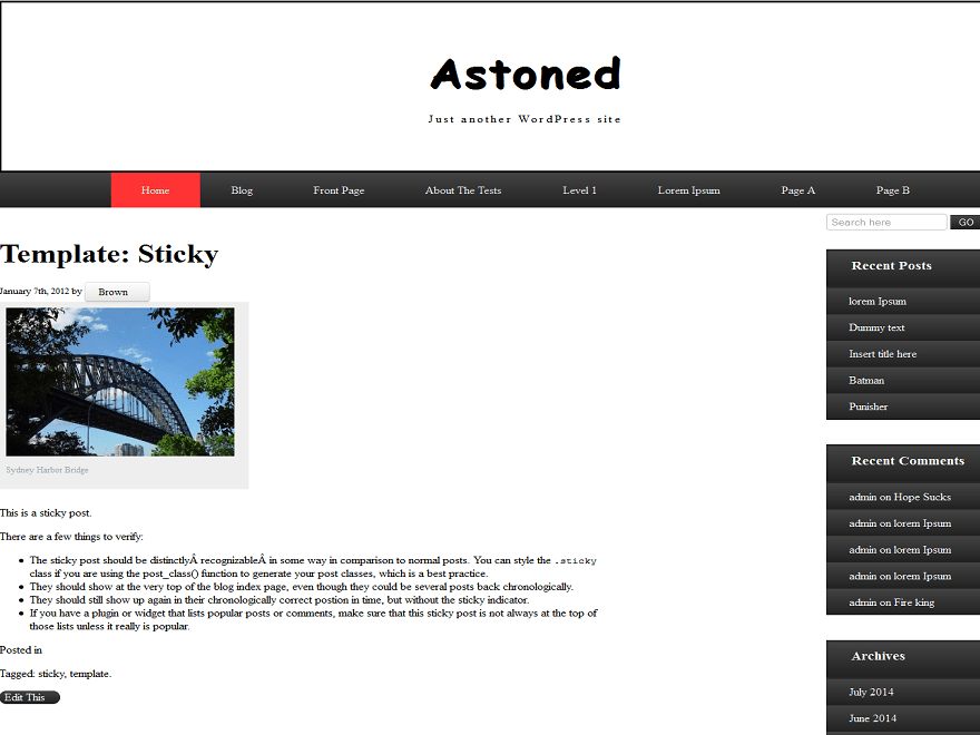 Astoned theme websites examples