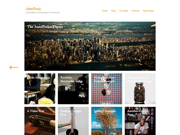 Autofocus Pro theme websites examples