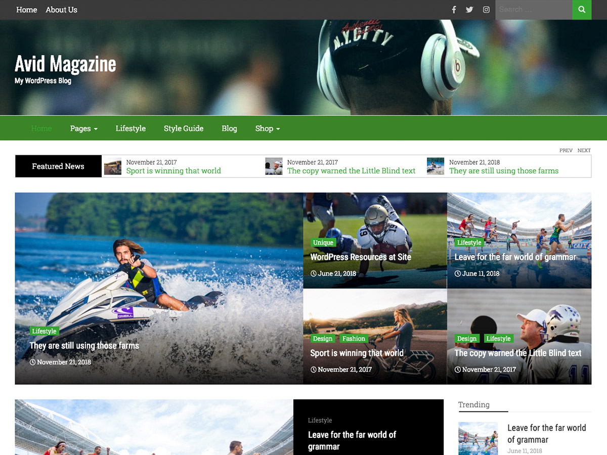 avid-magazine theme websites examples