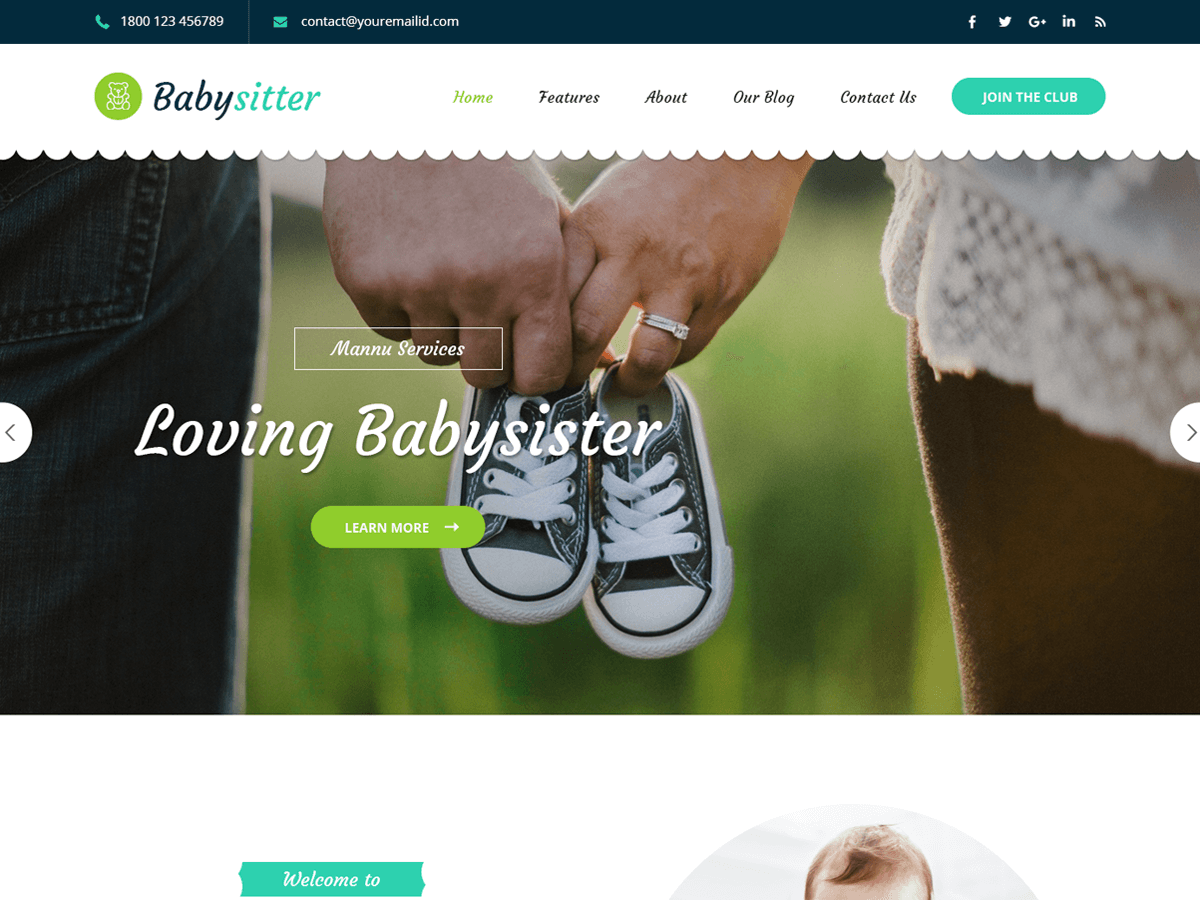 babysitter-lite theme websites examples