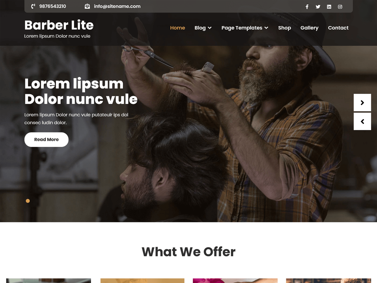 Barber Lite theme websites examples