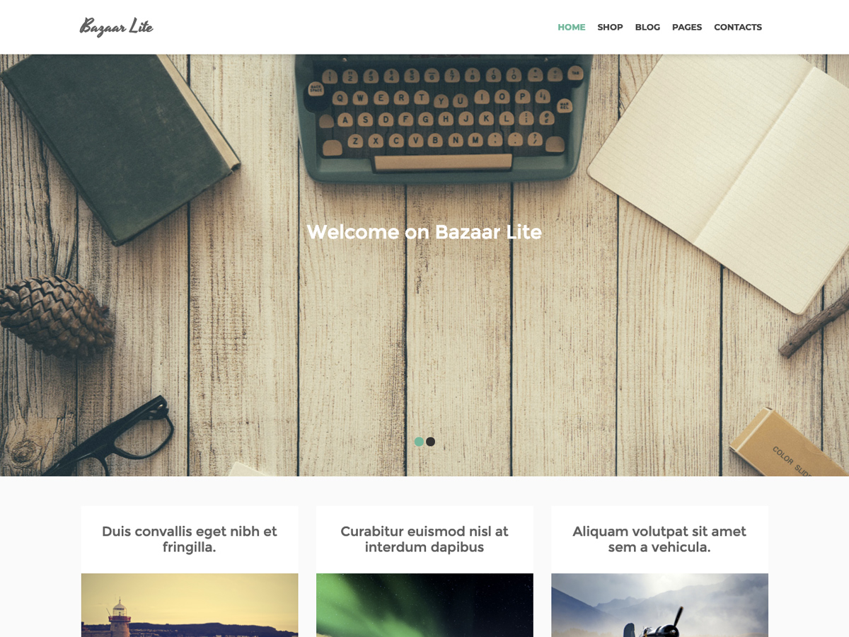 bazaar-lite theme websites examples