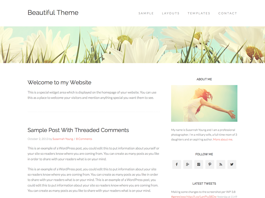Beautiful Pro Theme website example screenshot