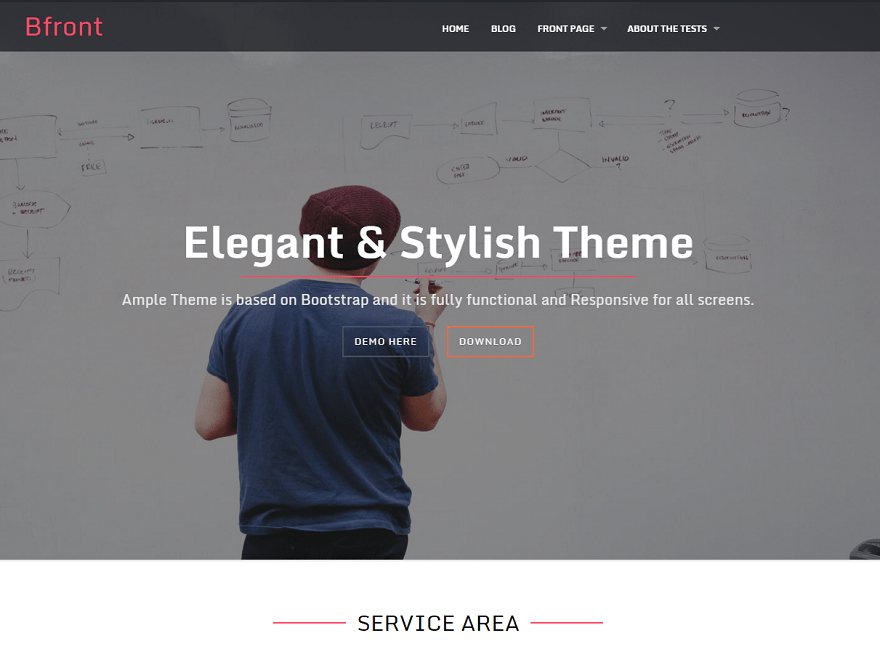 bfront theme websites examples