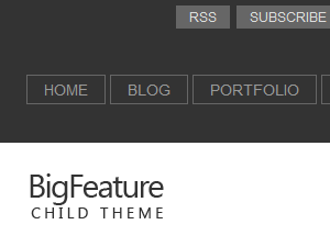 bfwide theme websites examples