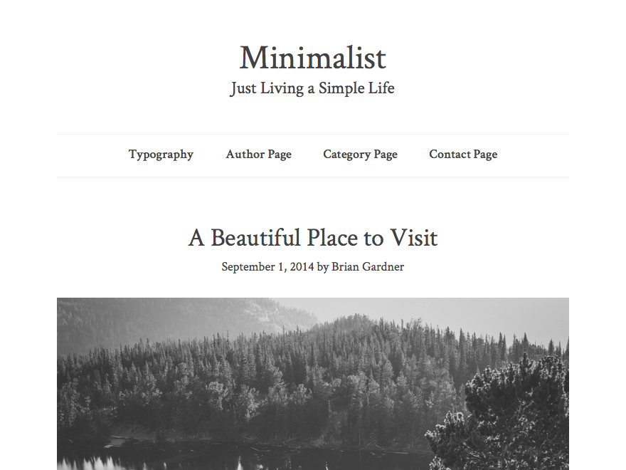 bg-minimalist theme websites examples