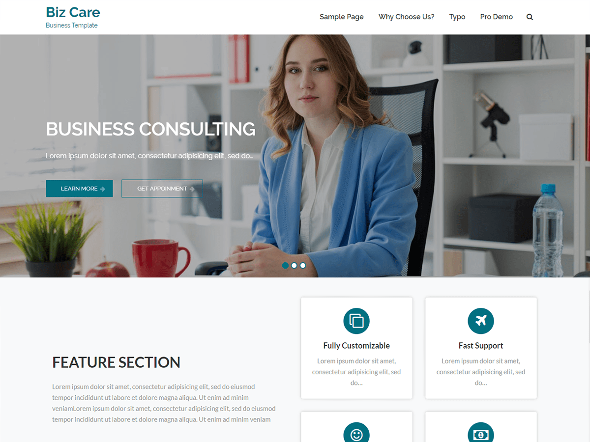 bizcare theme websites examples