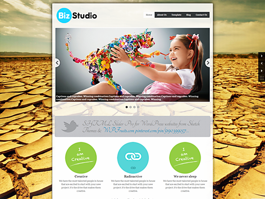 BizStudio Lite theme websites examples