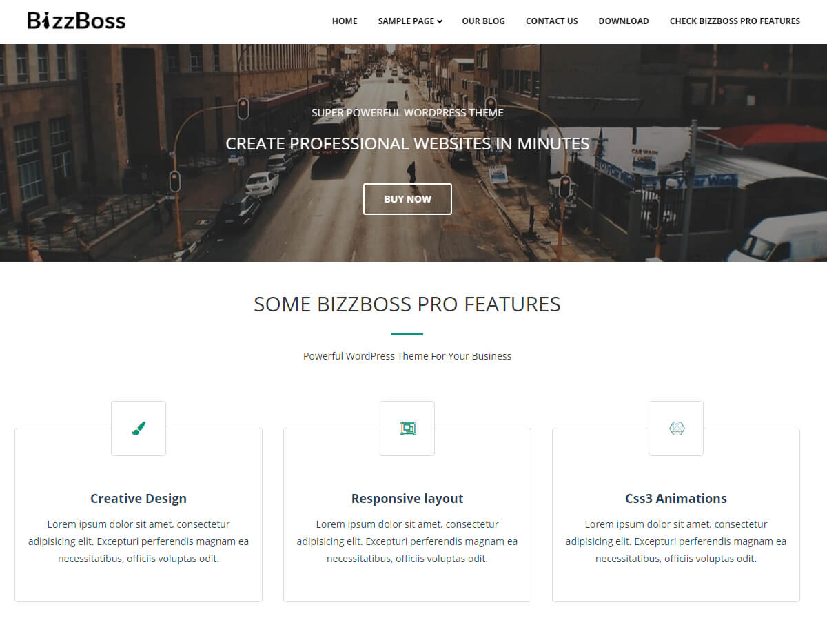 Bizzboss website example screenshot