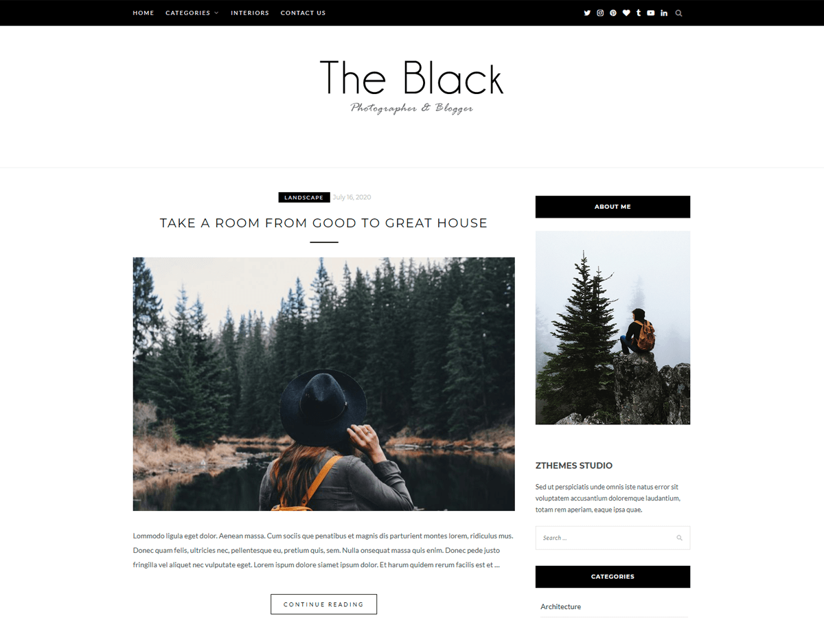 blacklite theme websites examples