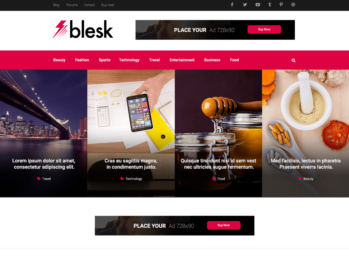 Blesk theme websites examples