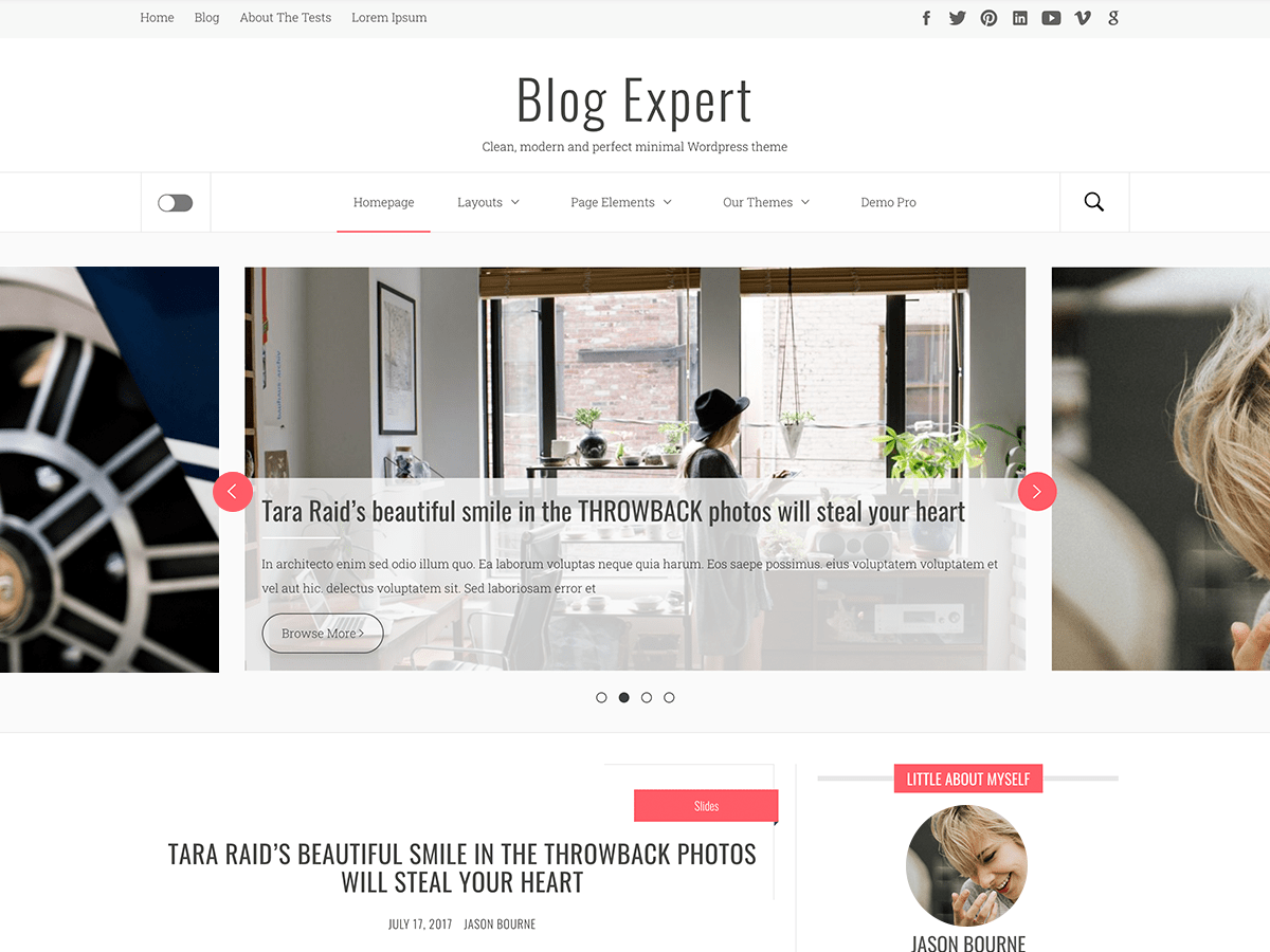 blog-expert theme websites examples