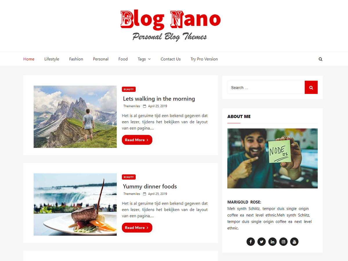 blog-nano theme websites examples