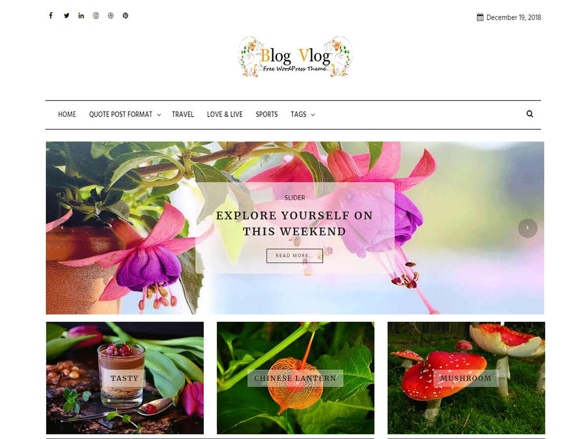 blog-vlog WordPress theme, websites list used blog-vlog theme blog-vlog theme websites examples