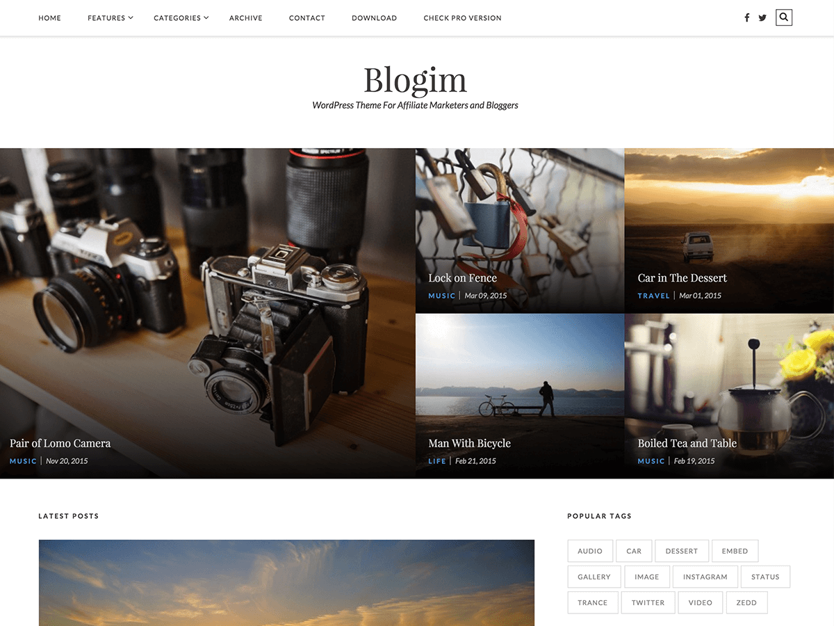 Blogim theme websites examples