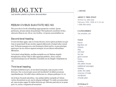 blog.txt website example screenshot