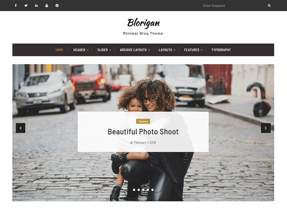 blorigan theme websites examples