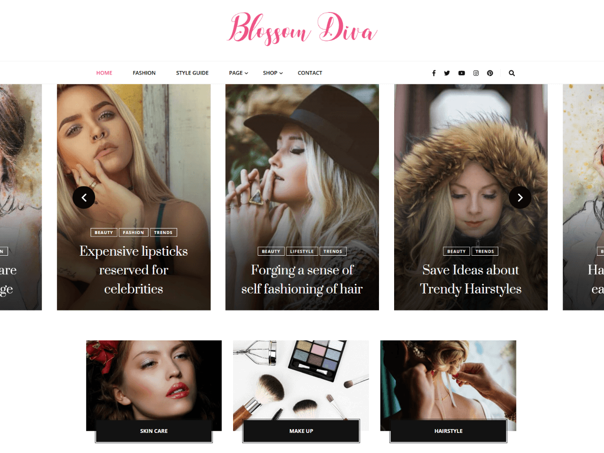 blossom-diva theme websites examples