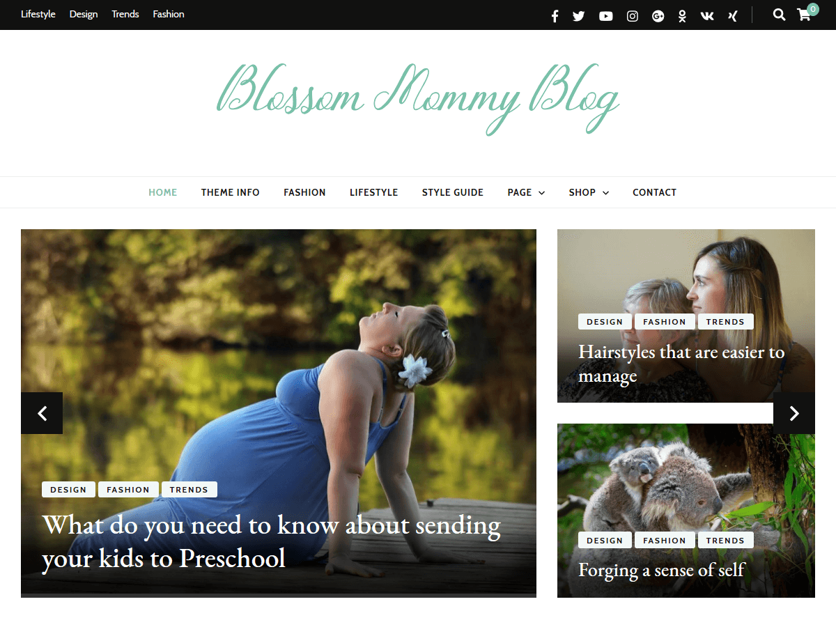 Blossom Mommy Blog website example screenshot