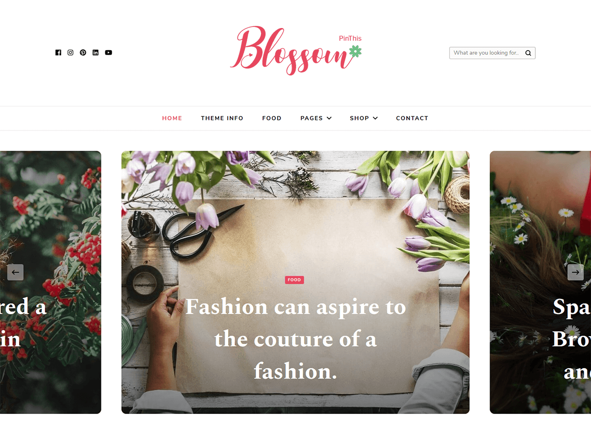 blossom-pinthis WordPress theme, websites list used blossom-pinthis theme blossom-pinthis theme websites examples
