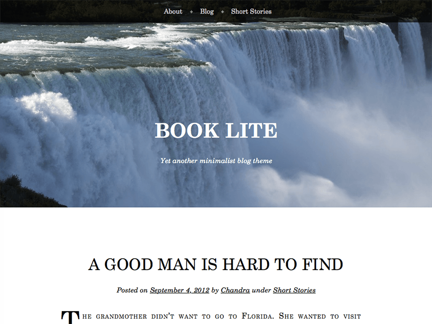 Book Lite website example screenshot