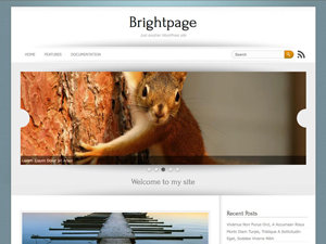 Brightpage website example screenshot