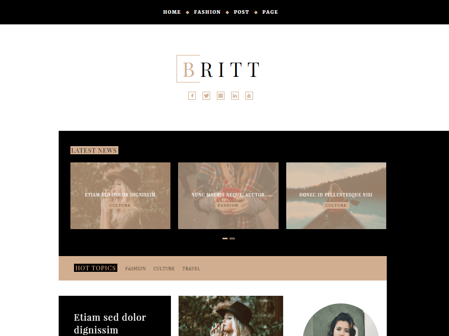 Britt theme websites examples