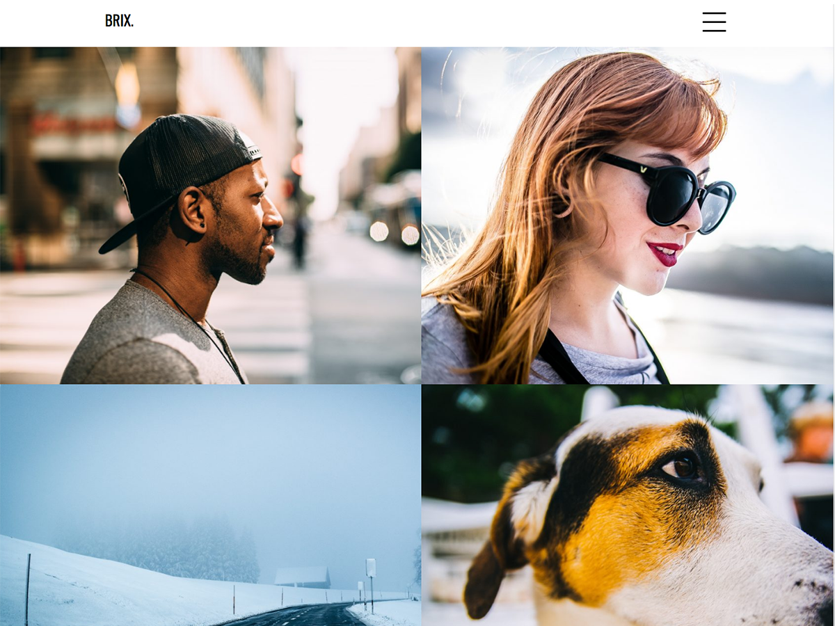 brix-portfolio theme websites examples