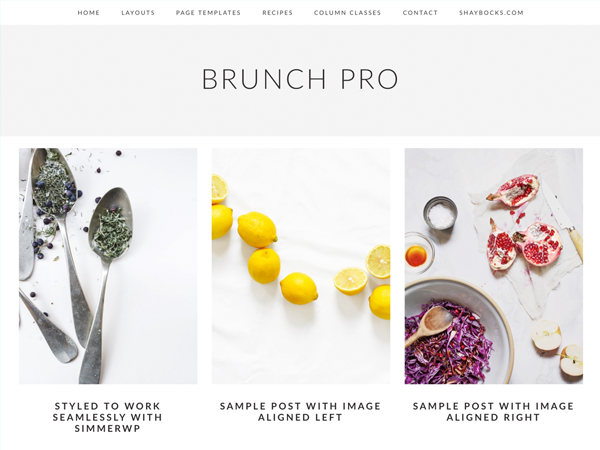 brunch-pro-2.0.1 theme websites examples