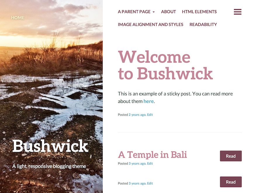 Bushwick website example screenshot