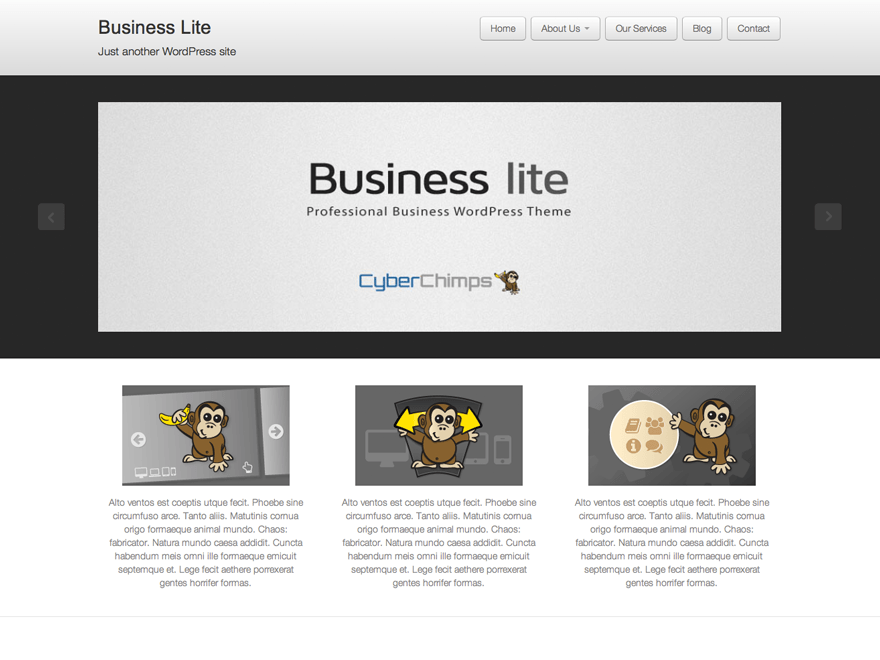Business lite website example screenshot