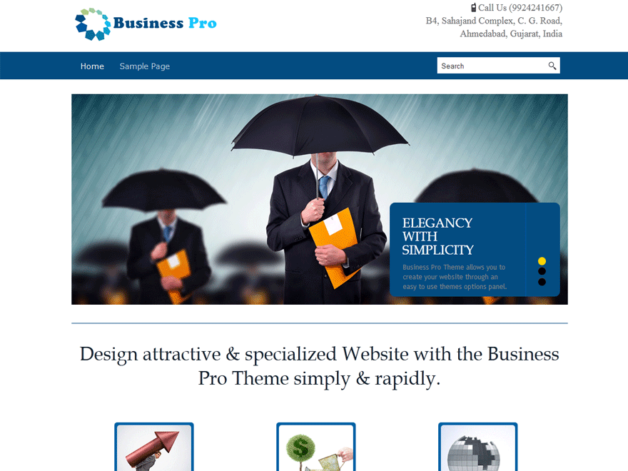 Business Pro website example screenshot