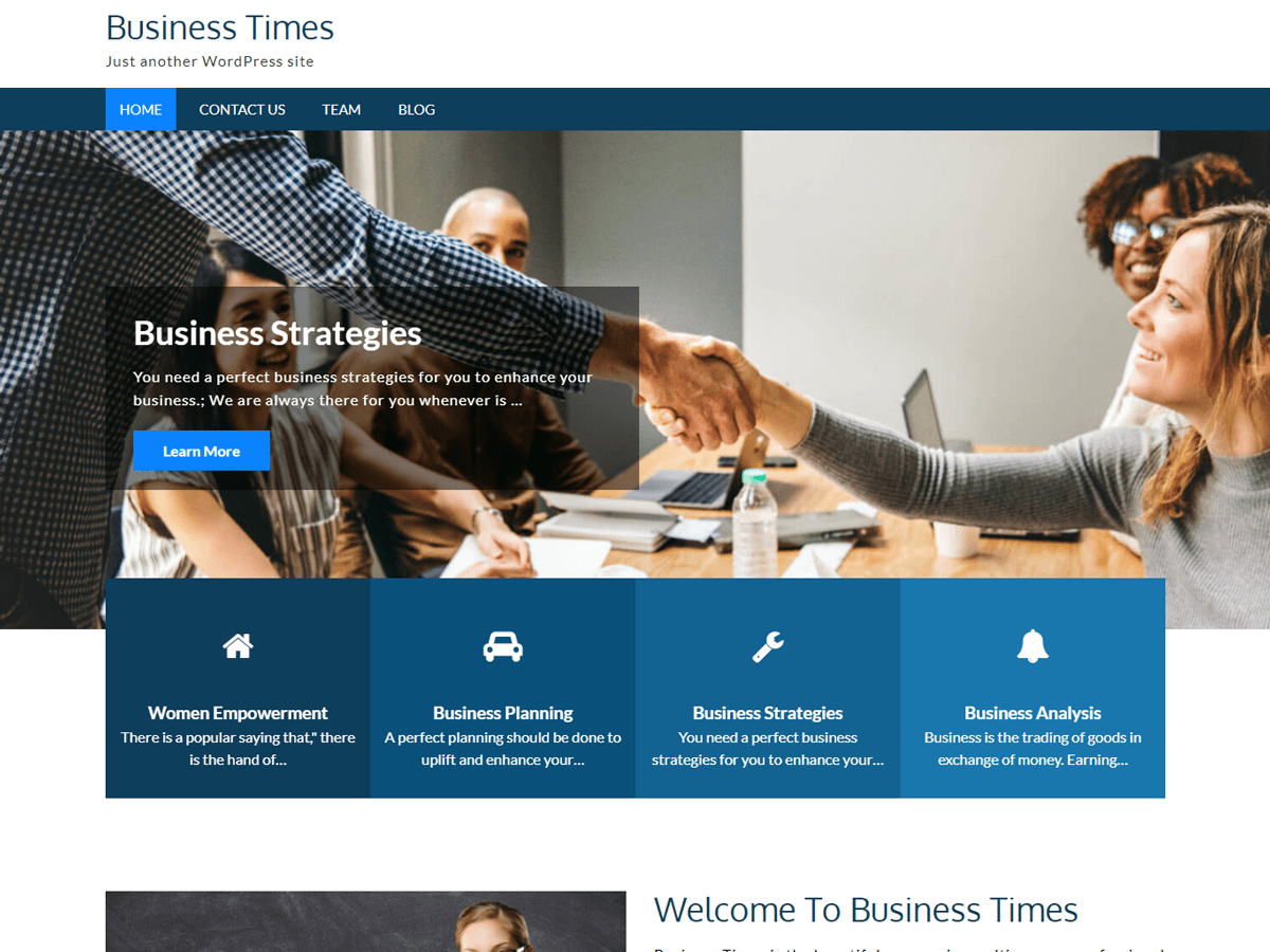 Business Times theme websites examples