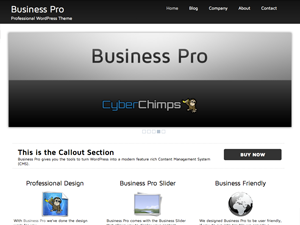 Business Pro theme websites examples